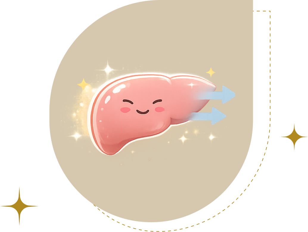 Supporting Liver Health with Essential Phospholipids